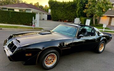 Pontiac-trans-am-bandit-4.9-litre-v8-1981-black-21