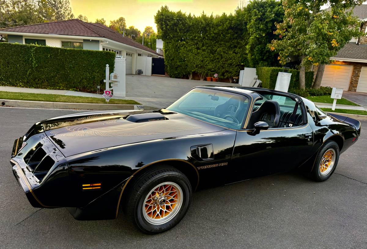 Pontiac-trans-am-bandit-4.9-litre-v8-1981-black-21