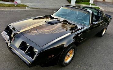 Pontiac-trans-am-bandit-4.9-litre-v8-1981-black