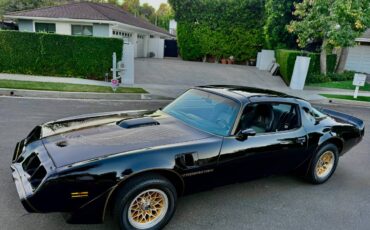 Pontiac-trans-am-bandit-4.9-litre-v8-1981-black-7