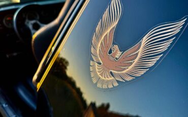 Pontiac-trans-am-bandit-4.9-litre-v8-1981-black-8