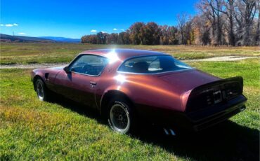 Pontiac-trans-am-firebird-1978-brown-2