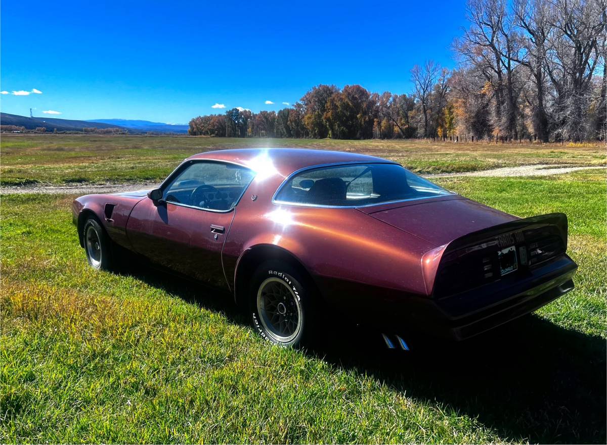 Pontiac-trans-am-firebird-1978-brown-2