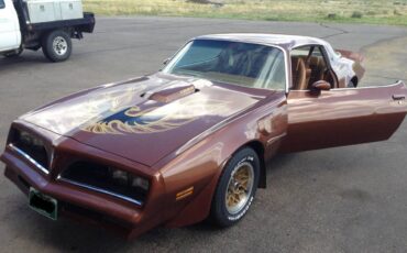 Pontiac-trans-am-firebird-1978-brown-3