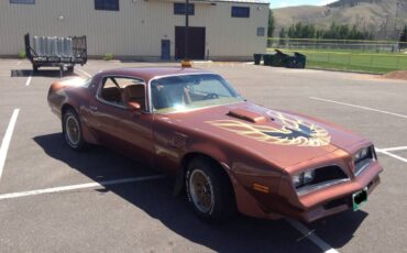 Pontiac-trans-am-firebird-1978-brown