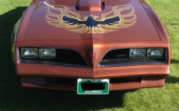 Pontiac-trans-am-firebird-1978-brown-4