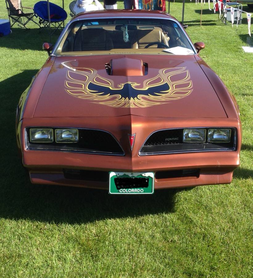 Pontiac-trans-am-firebird-1978-brown-4