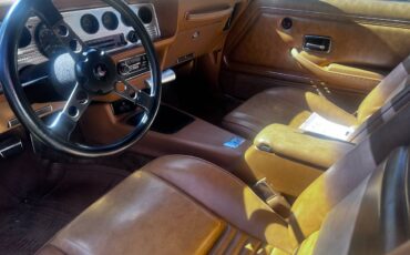 Pontiac-trans-am-firebird-1978-brown-5