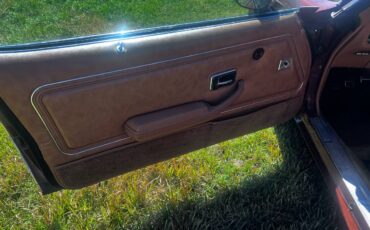 Pontiac-trans-am-firebird-1978-brown-7