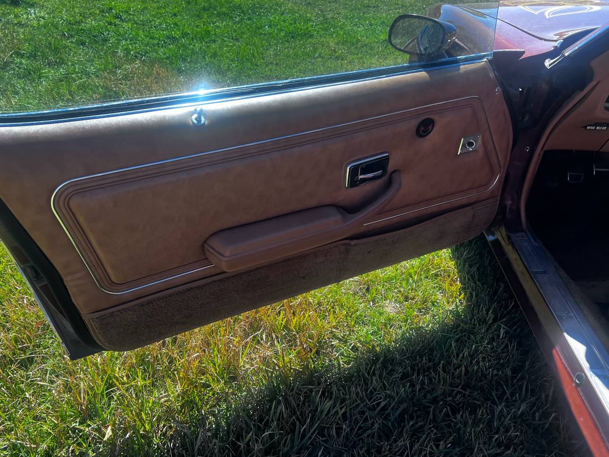 Pontiac-trans-am-firebird-1978-brown-7