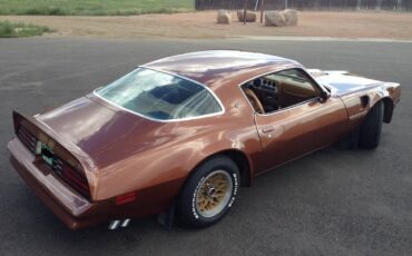 Pontiac-trans-am-firebird-1978-brown-8