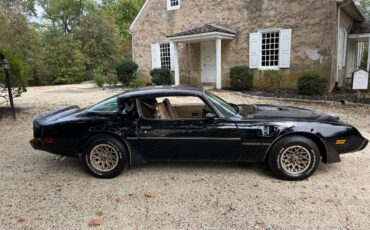 Pontiac-trans-am-special-edition-1981-black-1