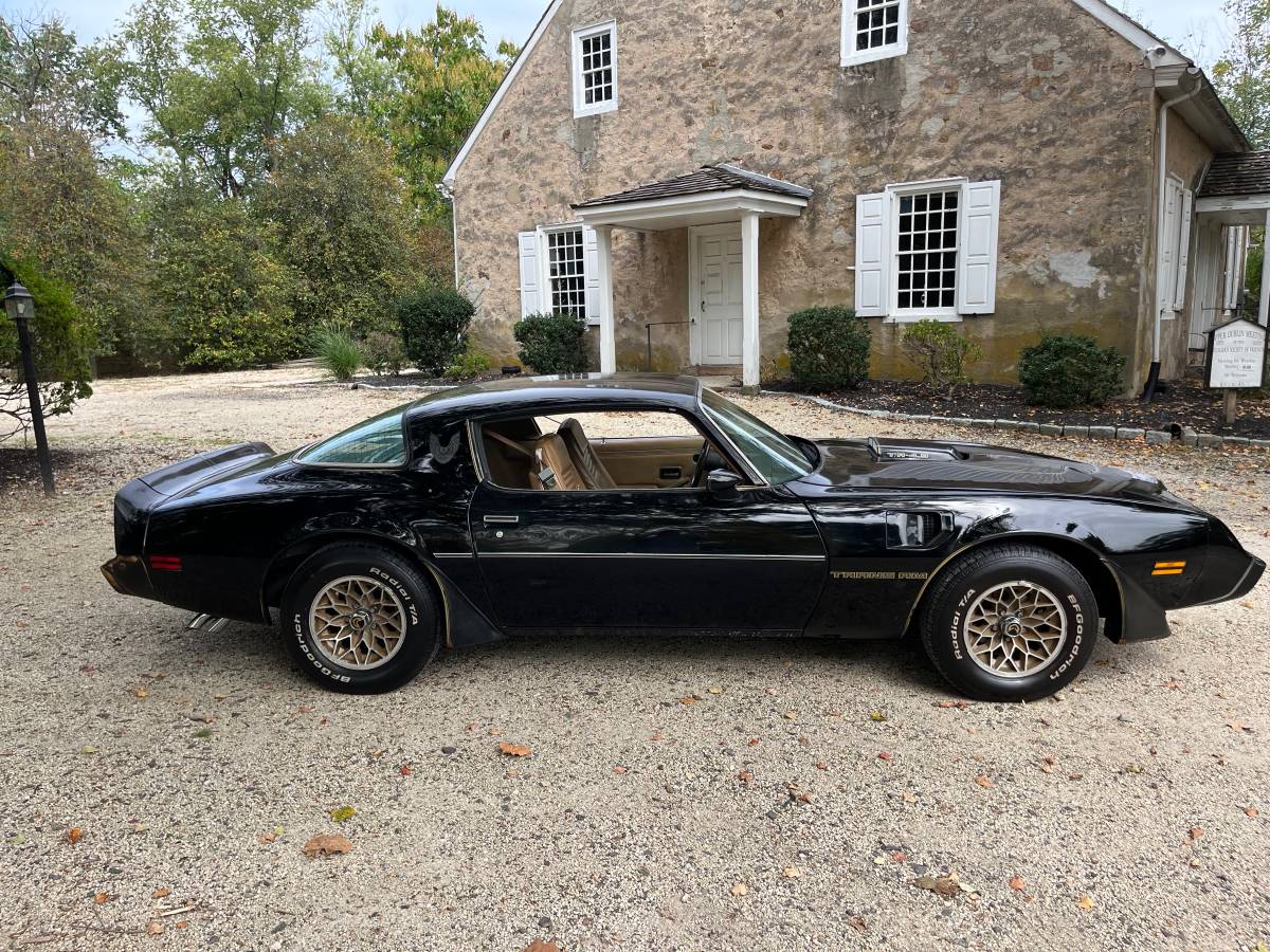 Pontiac-trans-am-special-edition-1981-black-1