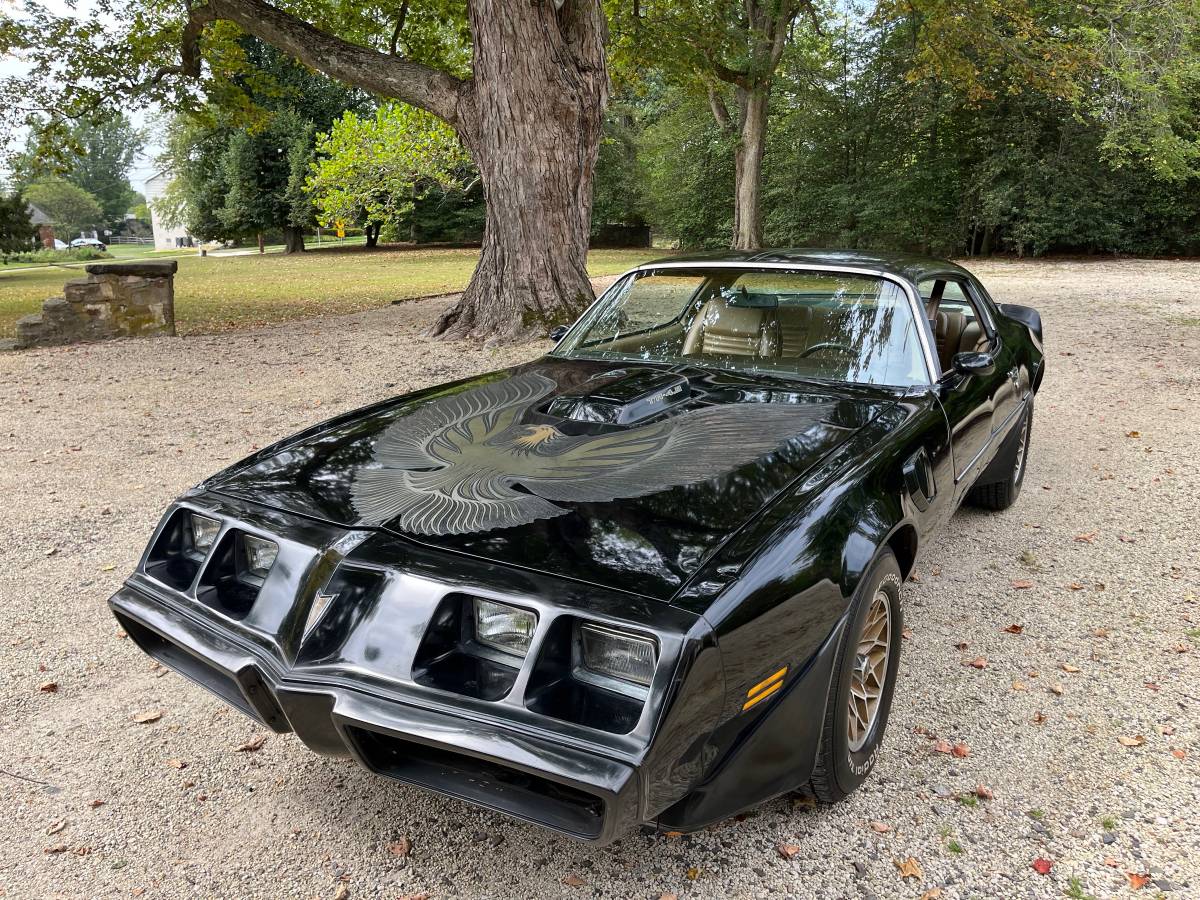 Pontiac-trans-am-special-edition-1981-black-10