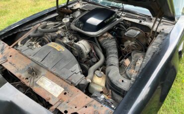 Pontiac-trans-am-special-edition-1981-black-16