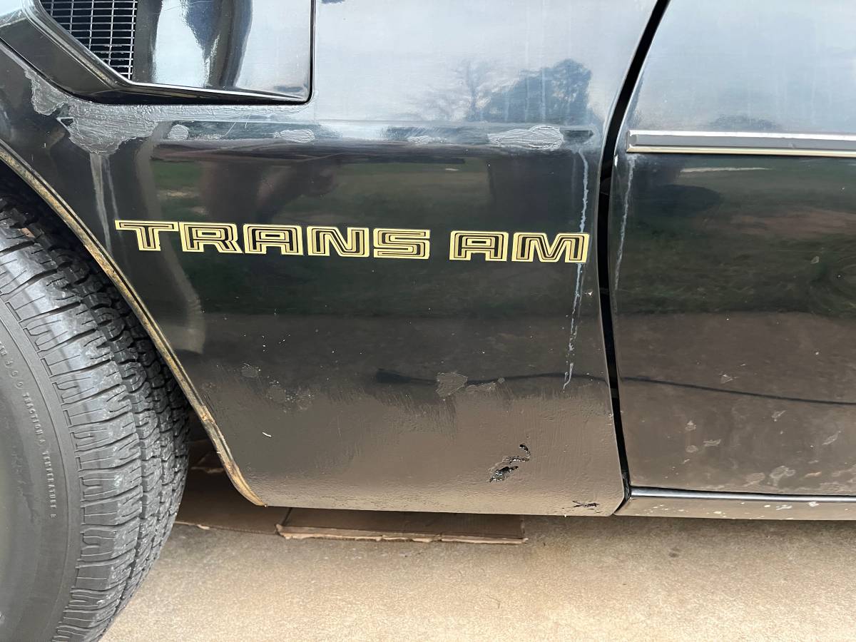 Pontiac-trans-am-special-edition-1981-black-18