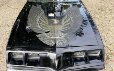 Pontiac-trans-am-special-edition-1981-black-3