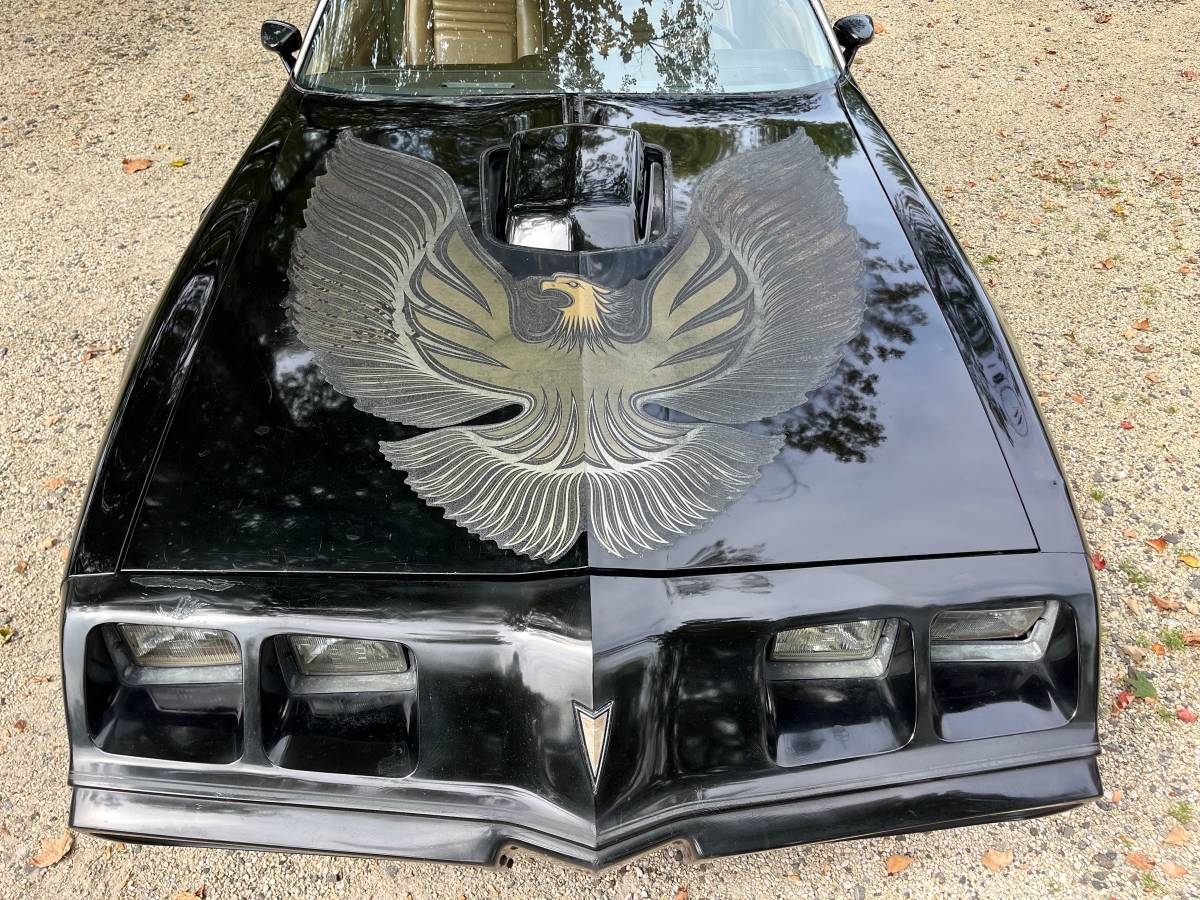 Pontiac-trans-am-special-edition-1981-black-3