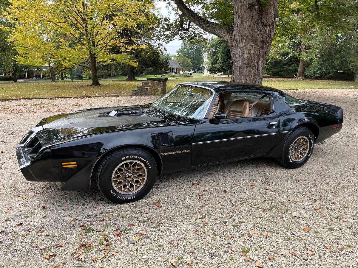 Pontiac-trans-am-special-edition-1981-black-4