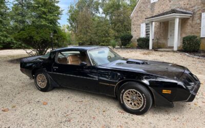 Pontiac trans am special edition 1981