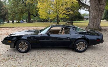 Pontiac-trans-am-special-edition-1981-black-5
