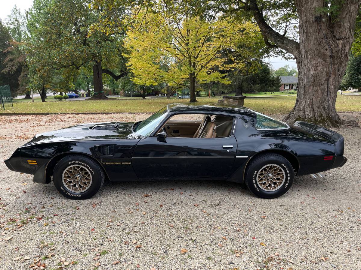 Pontiac-trans-am-special-edition-1981-black-5