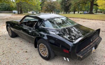 Pontiac-trans-am-special-edition-1981-black-7