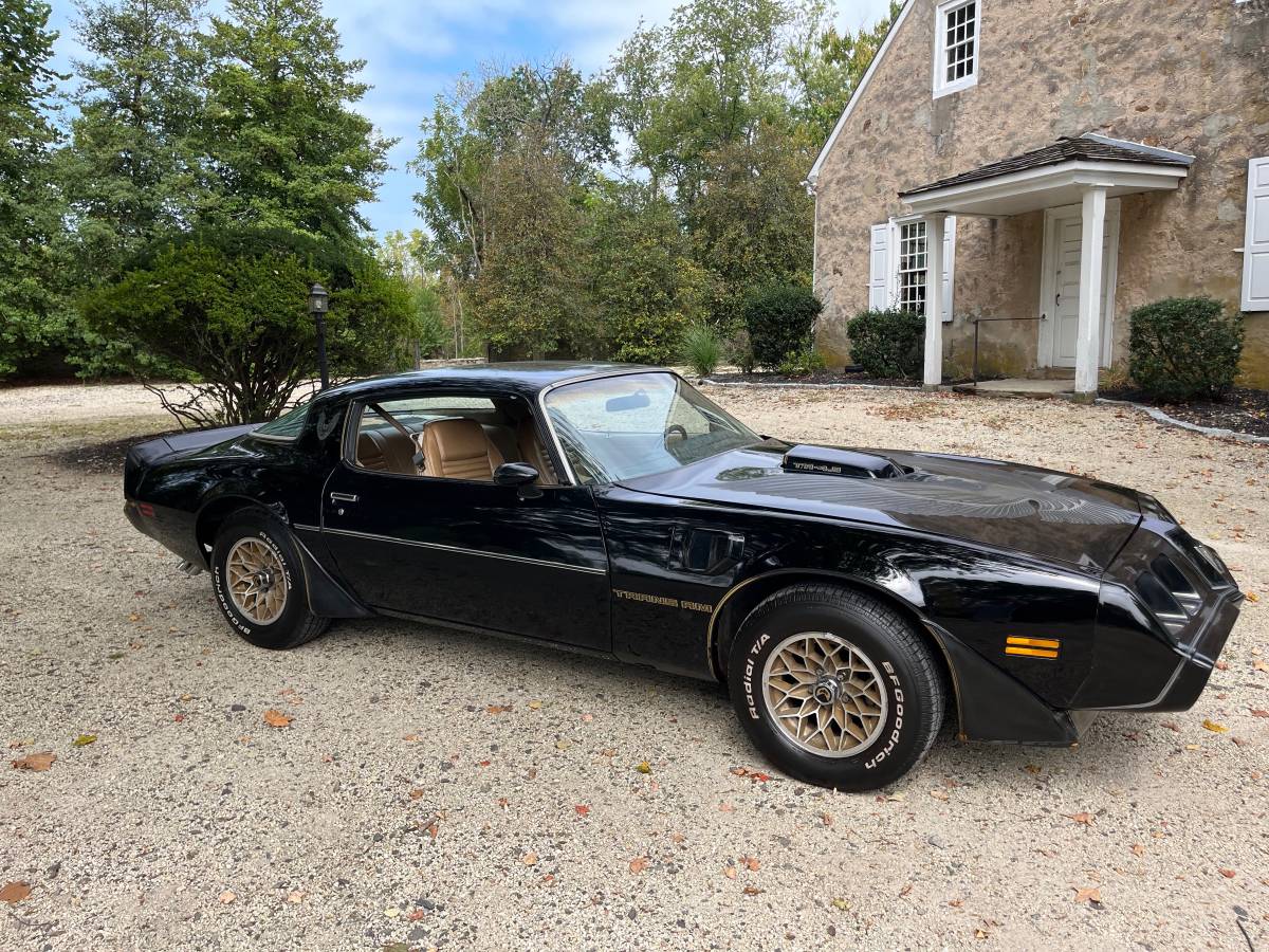 Pontiac-trans-am-special-edition-1981-black