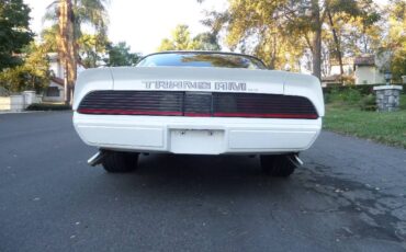 Pontiac-trans-am-v8-1979-1