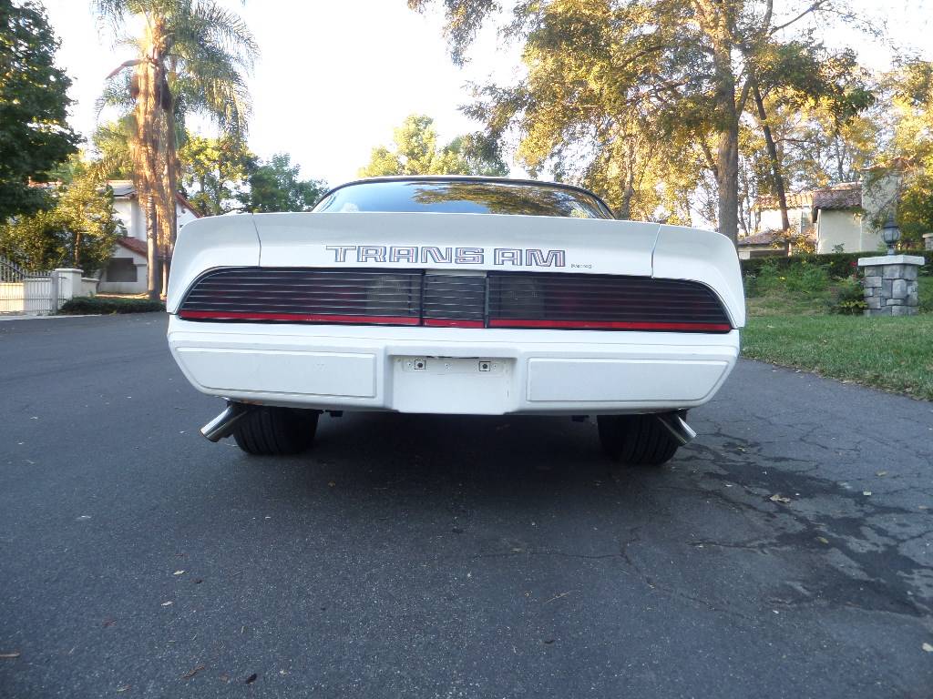 Pontiac-trans-am-v8-1979-1
