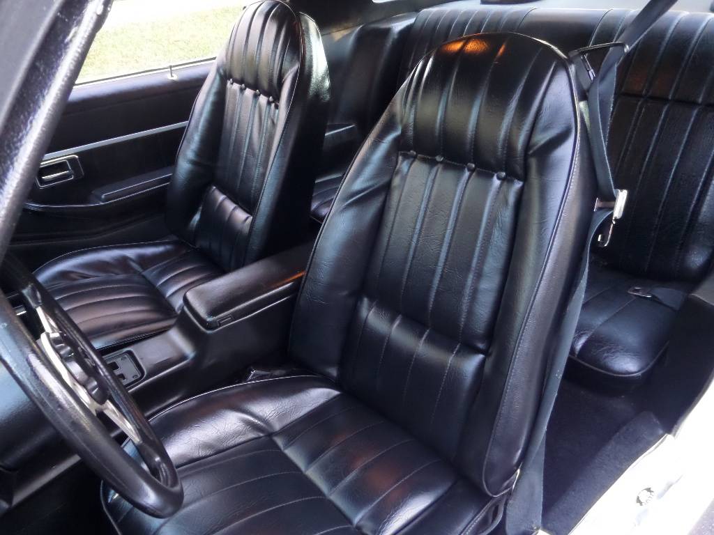 Pontiac-trans-am-v8-1979-17