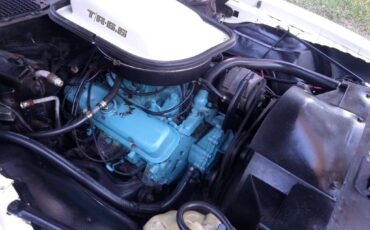 Pontiac-trans-am-v8-1979-20