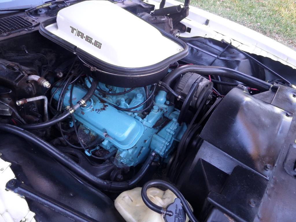 Pontiac-trans-am-v8-1979-20