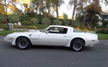 Pontiac-trans-am-v8-1979