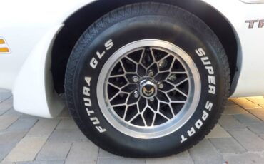 Pontiac-trans-am-v8-1979-8
