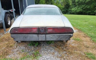 Pontic firebird 1981