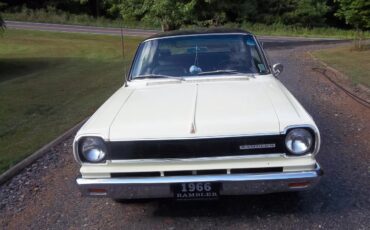 Rambler-Rogue-1966-Apollo-Yellow-Black