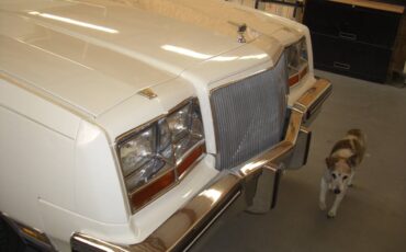 Riveria-t-type-1984-white-6