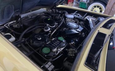 Rolls-royce-Silver-spur-1981-Mustard-Beige-11