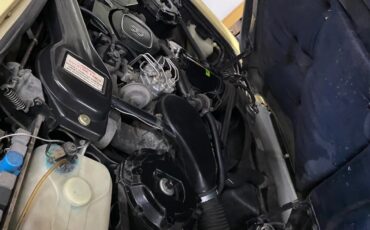 Rolls-royce-Silver-spur-1981-Mustard-Beige-12