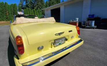 Rolls-royce-corniche-convertibles-1974-yellow-1