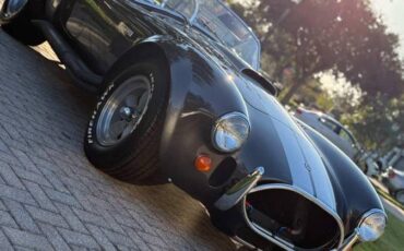 Shelby-427-cobia-1965-4