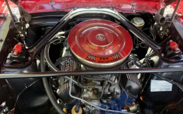 Shelby-Gt350-1966-10