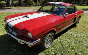 Shelby-Gt350-1966-13