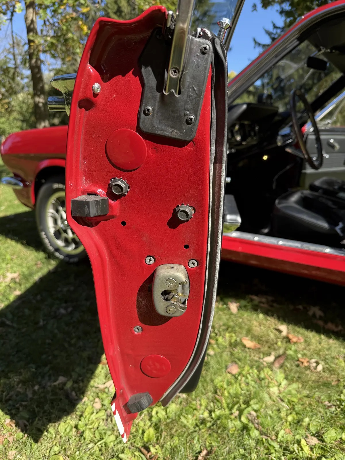 Shelby-Gt350-1966-16