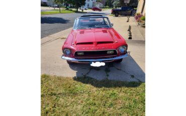 Shelby-Gt350-1968-Candyapple-Red-Black