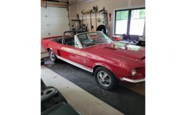 Shelby-Gt350-1968-Candyapple-Red-Black-5