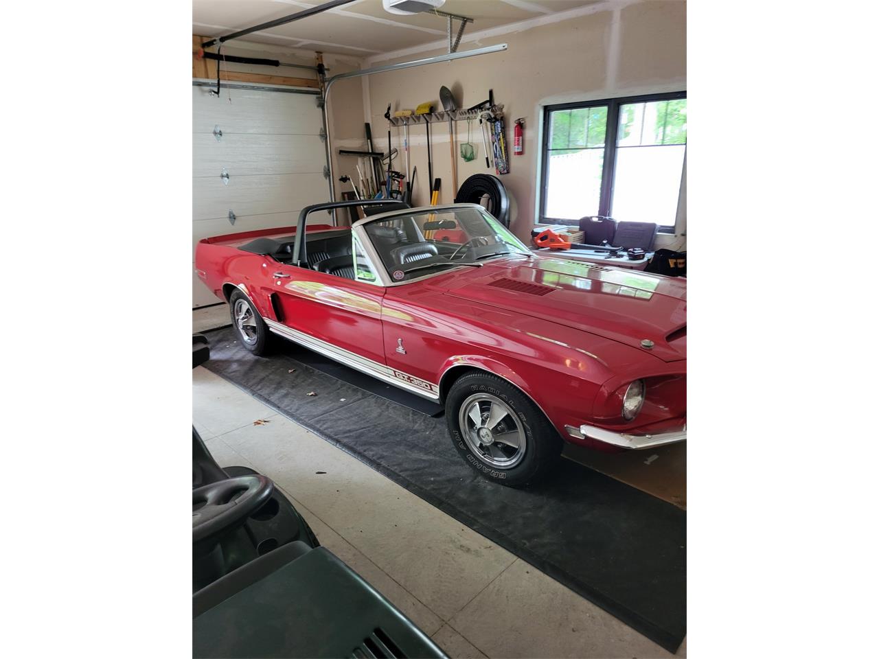 Shelby-Gt350-1968-Candyapple-Red-Black-5
