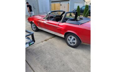 Shelby-Gt350-1968-Candyapple-Red-Black-9