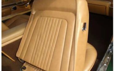 Shelby-Gt350-1968-Dark-Metallic-Green-Saddle-10